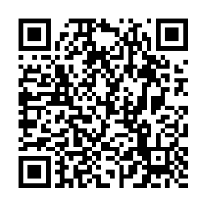 扶持我族中有出息的子嗣上去……我们就配合你……二维码生成