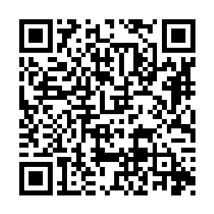 找了一处狭窄的好地方就重新把竹篾网下了下去二维码生成