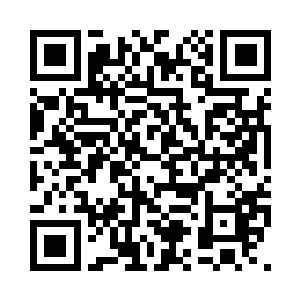 找了一家看起来还算不错的星级酒店二维码生成