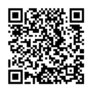 找到了一个天地之间绝佳的孵化场所……最迟四个月二维码生成