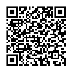 找到了呆在夏雨城城北不远一座小山内十八只妖王二维码生成