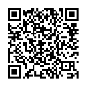 找到了那个被他用几根金针给扎得全身麻木的家伙二维码生成