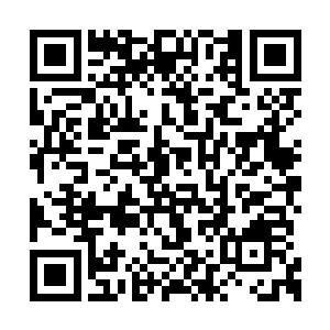 找到岛屿后能否再与石猴碰头却是个极大的问题二维码生成