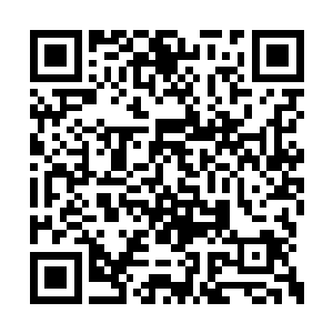 找机会把那条傀儡蠕虫的母虫找出来干掉的时候二维码生成