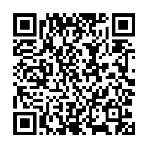 承受着巨大力量的冥王星终于猛的还是被林锐一脚踹飞了二维码生成