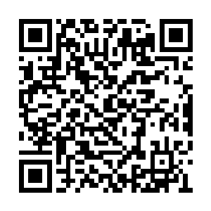 承恩……承恩……这个名字不错……就叫承恩吧二维码生成