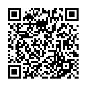 承担着战斗辅助任务的华族战士就超过了十万人二维码生成