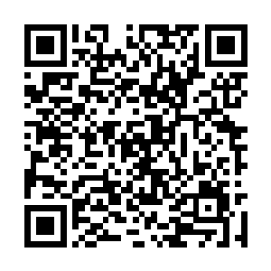 承认芬克集团的权利都是归米兰达和科伦娜所有的二维码生成