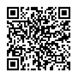 承认这座岛屿属于苏家所有……外人就不敢欺负我们无名岛的人二维码生成