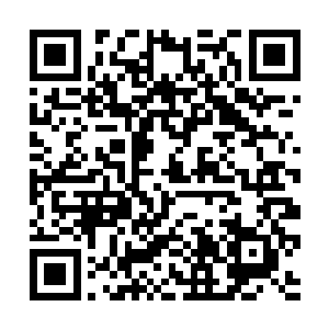 承诺无论以后你们公司任何一位员工在我们店里购车二维码生成