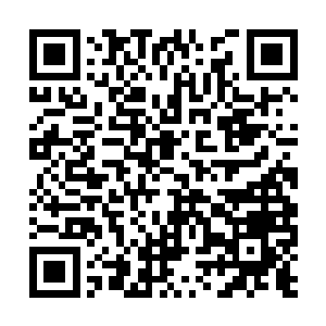 承诺自己一定会带着玄武族的族人们重新振作起来二维码生成