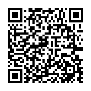 技术分析人员立刻将对章如男收集的一些数据送了上来二维码生成