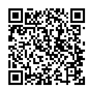 抄许家唯一可惜的是许家的几个粮仓的粮食没搬到榆城来二维码生成