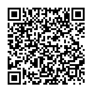 把一个怀疑对象放在一边确实是有利的――可是她是你最得利的助手二维码生成