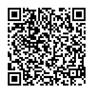 把一些种子和那些奇怪的乳白色的液体都小心翼翼的放到了瓶子里二维码生成