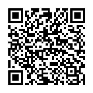 把一头头被邪恶力量侵蚀了的石像鬼重新砸成了石块二维码生成