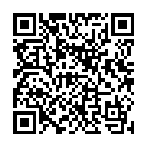 把一路从各个开门房间里搜罗出来的什物逐样摆在地上二维码生成