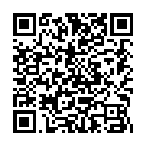 把一选的权利让给了上一把近乎完美表现的陈诚二维码生成