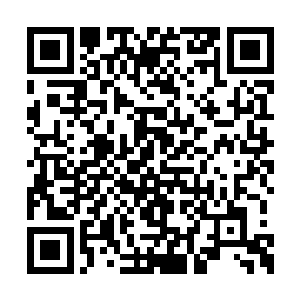 把从前根本就懒得翻开的高考模拟试卷拿了出来二维码生成