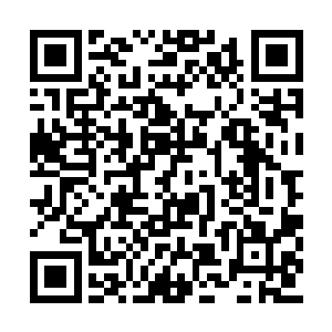 把他们最关心的家人拿出来作为鼓舞人心的武器二维码生成