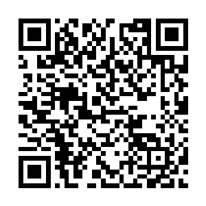 把几条建立在缅因与加x大之间的贩毒网络给端了二维码生成