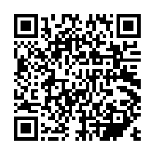 把司家世代传承的权柄交到我这个逆子手上……不然的话二维码生成