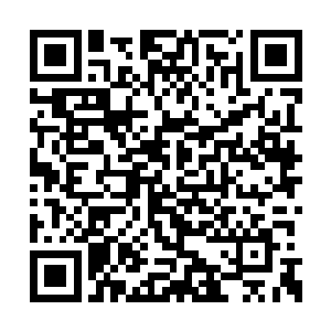 把司徒情和洪福家族两名圣王都给吓得胆敢欲裂二维码生成