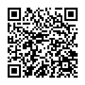 把吐着墨黑色蛇芯的袖珍小蛇放在老鼠的鼻子上面二维码生成