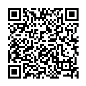 把咏春拳里的一套小念头迎面追中的精髓发挥的淋漓尽致二维码生成