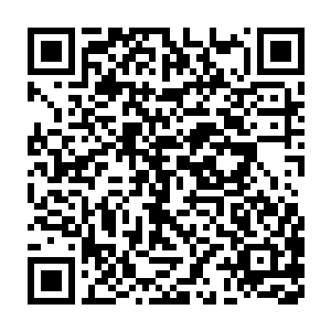 把四五个粗豪的恶霸打的抱着脑袋趴在地上直哼哼这才满意的住手二维码生成