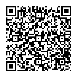 把在山里苦了一辈子的妈妈接到城里来感受城里的繁华……我知道那是妈妈一生的愿望二维码生成