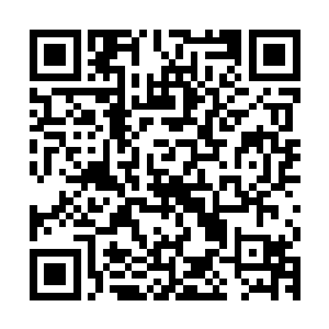 把夏家护卫身上带着的三百多条空间腰带通通收进了自己的腰包二维码生成