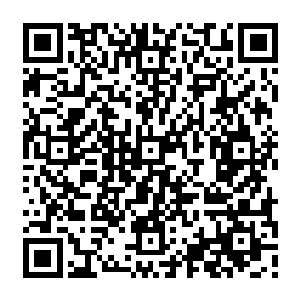 把大厅后面的那片宫殿建筑群的房间给一间间的用地毯式搜索的方法给翻过一遍来二维码生成