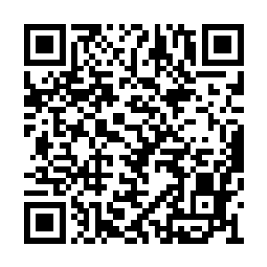 把宝贵的每赛季一个的特殊天才条款名额给叶惟二维码生成