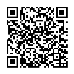 把实验的地方放到了天方城百里之外的这片山丘之内二维码生成