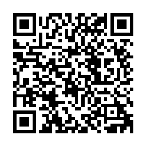 把崩溃的乐天派的忧郁怀疑在命运面前的卑微表现得淋漓尽致二维码生成