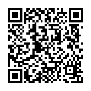 把希望寄托在我和天之境的所有亲朋好友身上了二维码生成