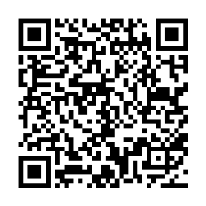 把帝位让出来给我如何让我天一道收编了受你摆布的子民二维码生成