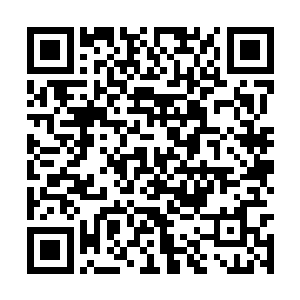 把我们曾经名列佣兵业界前五的晨星给踩在了脚下二维码生成