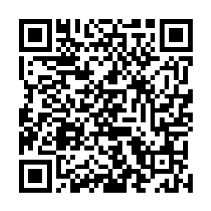 把我带到那个废弃工厂的基地去逼问我账本的下落了……二维码生成