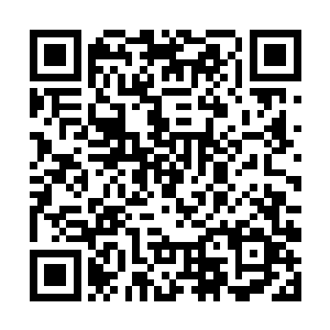 把我手指指过去的一波仙修全都拍向了指定的空间里二维码生成