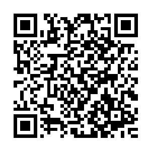 把我炸成这样　我要是不把他揪出來　那我还真不出王宫了　二维码生成