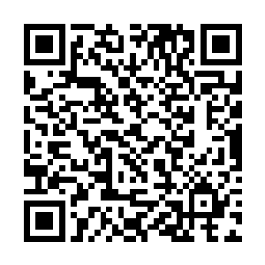 把我跟家明辛辛苦苦恁些年挣来的千万家业都查封了二维码生成