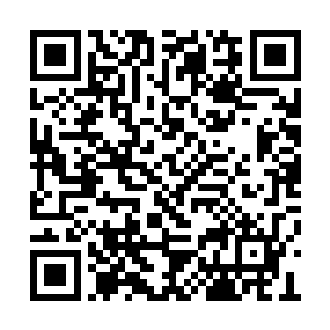 把我这个又老又丑的大师姐都给忘得一干二净了二维码生成
