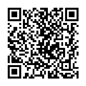 把所有上档次的好鱼卖给一家对于我来说真是没什么吸引力二维码生成