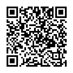 把所有人类强者都变成了空有力量而全无意志的废物二维码生成