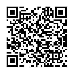 把所有准备交将在天山的楚翔天接回来的长老斩于刀下二维码生成