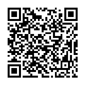 把所有的战斗力量投入到这么一个方寸小地方上去二维码生成