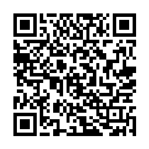 把手中早就准备好的三根如同金针一般的猴毛一抛二维码生成