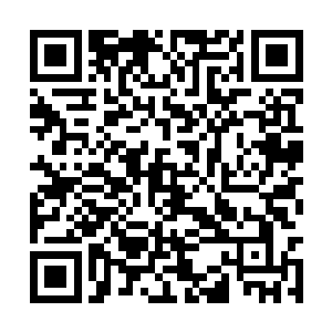 把手里的一个装着病毒样品的金属罐摔进了壁炉中二维码生成